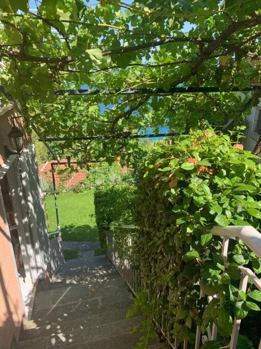 Amfiteatrico Sea View - Kalamos Attiki Apartman Markópulo Oropú Kültér fotó