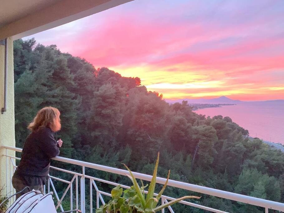 Amfiteatrico Sea View - Kalamos Attiki Apartman Markópulo Oropú Kültér fotó
