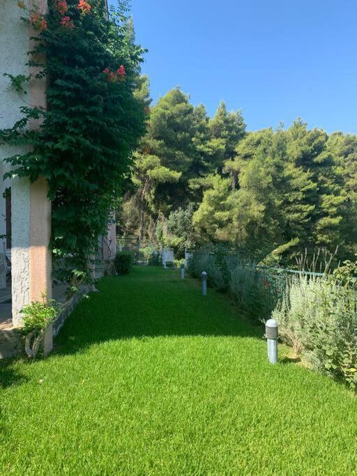 Amfiteatrico Sea View - Kalamos Attiki Apartman Markópulo Oropú Kültér fotó
