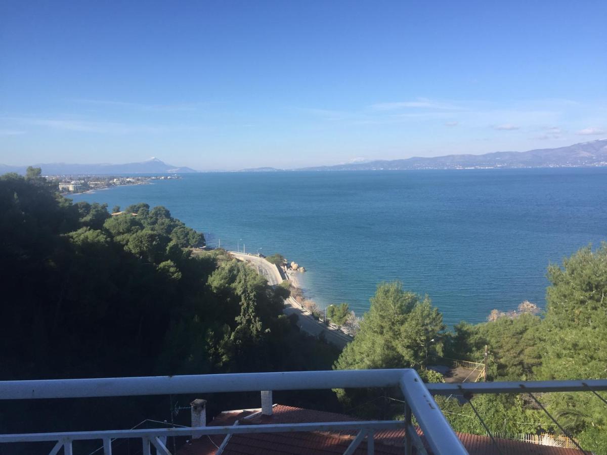 Amfiteatrico Sea View - Kalamos Attiki Apartman Markópulo Oropú Kültér fotó
